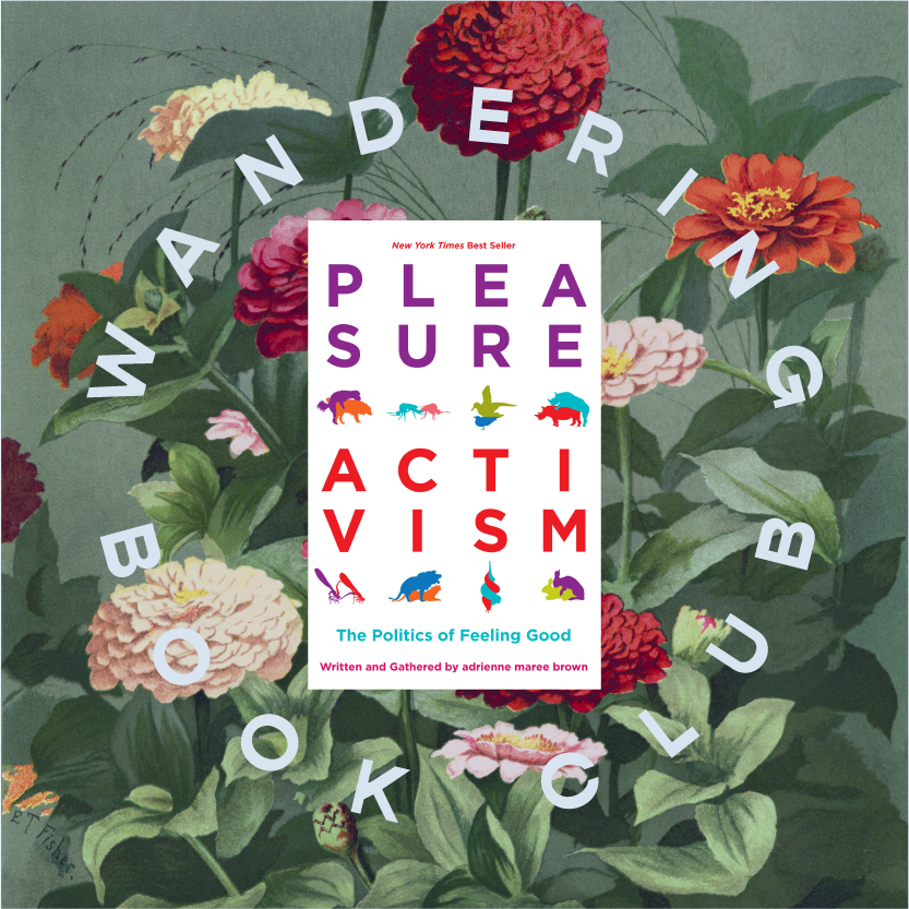 Book #2 | Pleasure Activism by adrienne maree brown