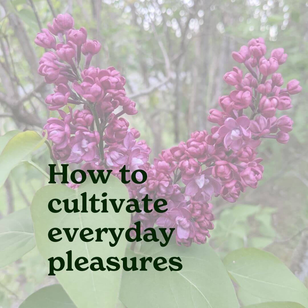 The Pleasure Edit, Cultivating Everyday Pleasures by Tugce Balik, PhD candidate Transpersonal Psychology and Sexology, Sexologist & Authentic Tantra Practitioner